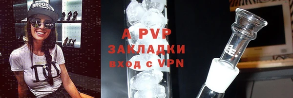 эйфоретик Белоозёрский