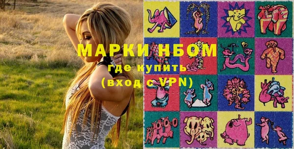 трава Белокуриха