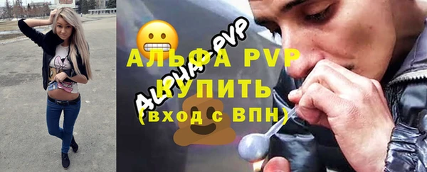 трава Белокуриха