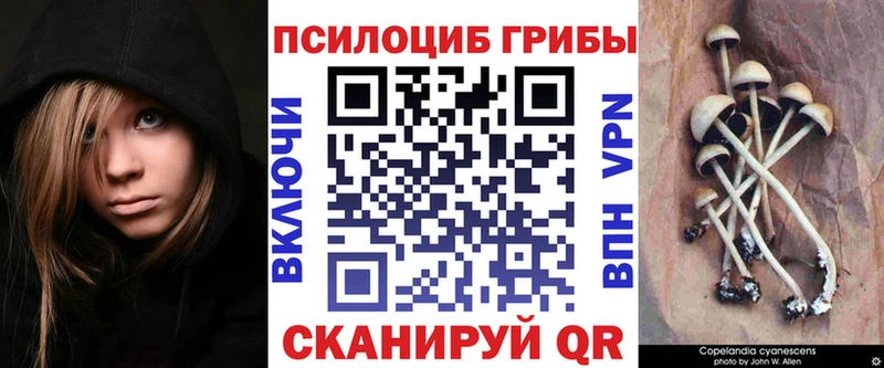 Псилоцибиновые грибы Psilocybine cubensis Кыштым